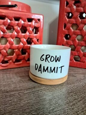 Grow Dam🪴it Ceramic Planter with Bamboo Tray